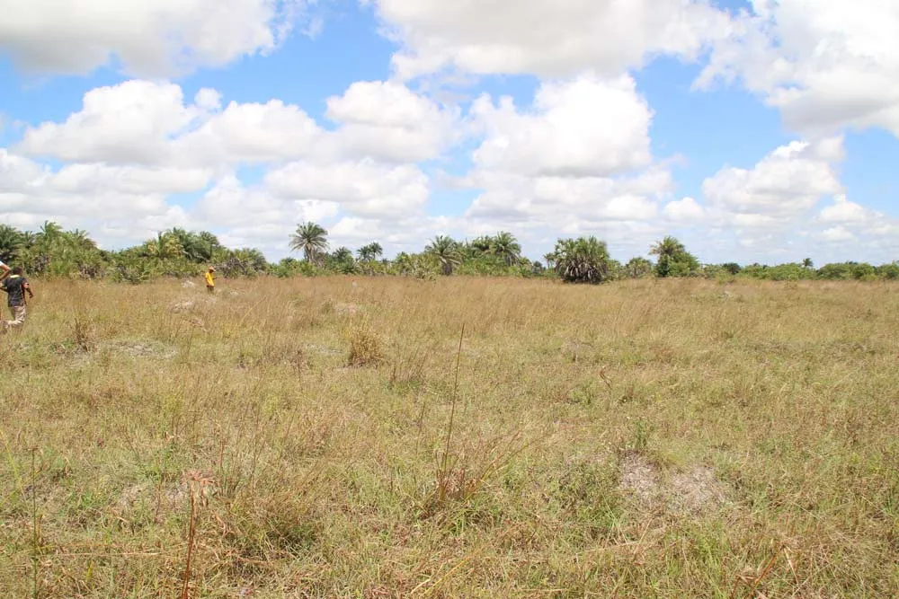 Ukooni Estate — Dar-es-Salaam
