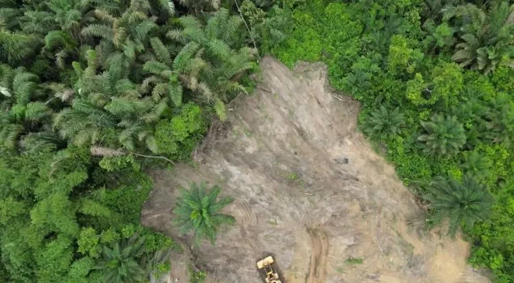 elerangbe image 1