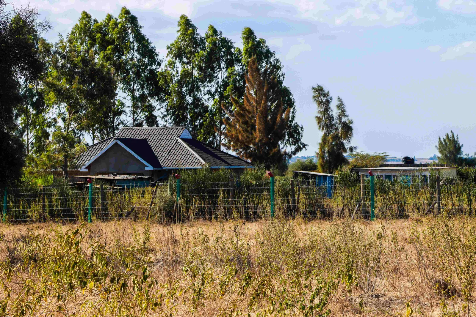 PLOTS FOR SALE IN KITENGELA 895 (KITENGELA SHUJAA RIDGE PHASE 6)
