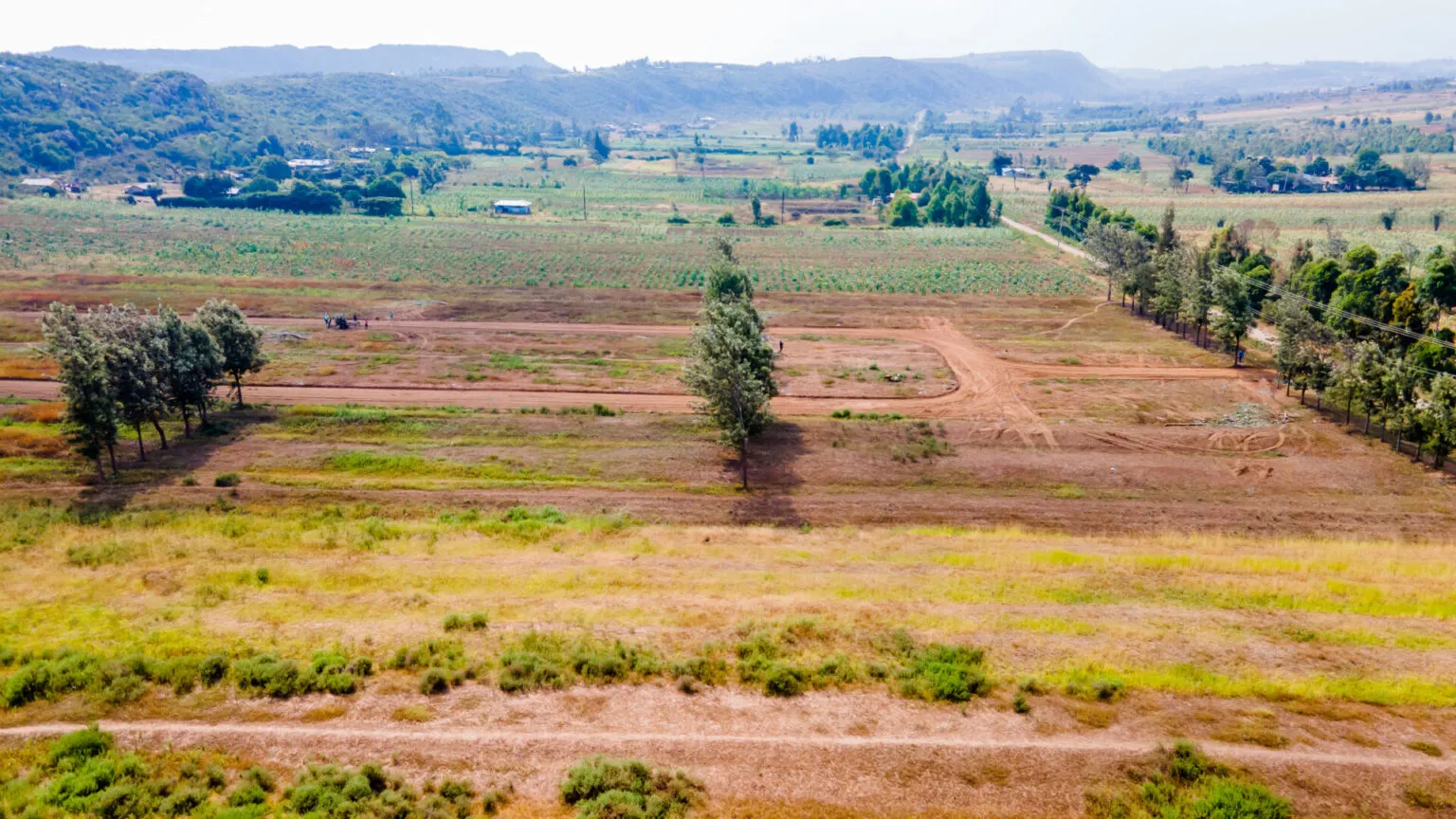 Zahara Gardens — Kikuyu