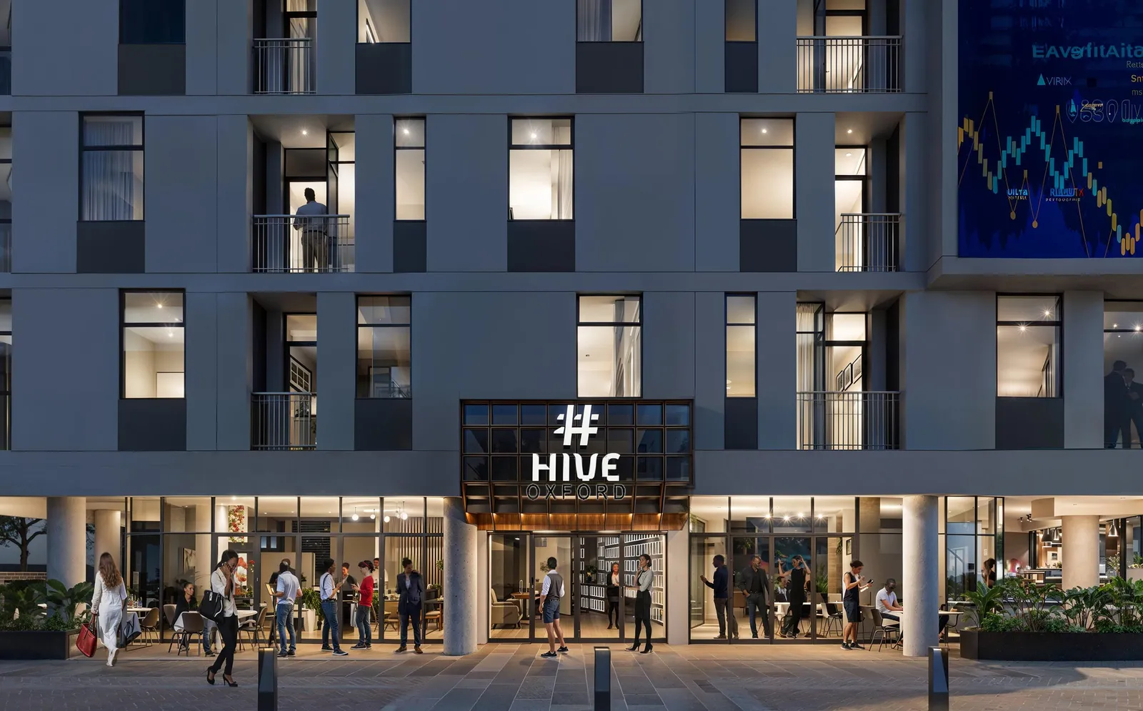 Hive Oxford — Johannesburg