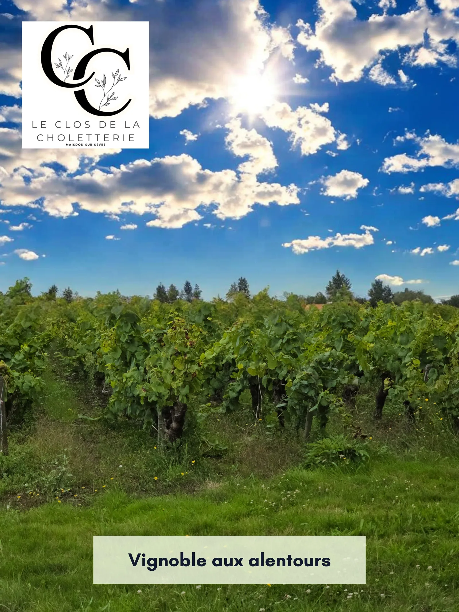 Le Clos de la Choletterie — Maisdon-sur-Sèvre