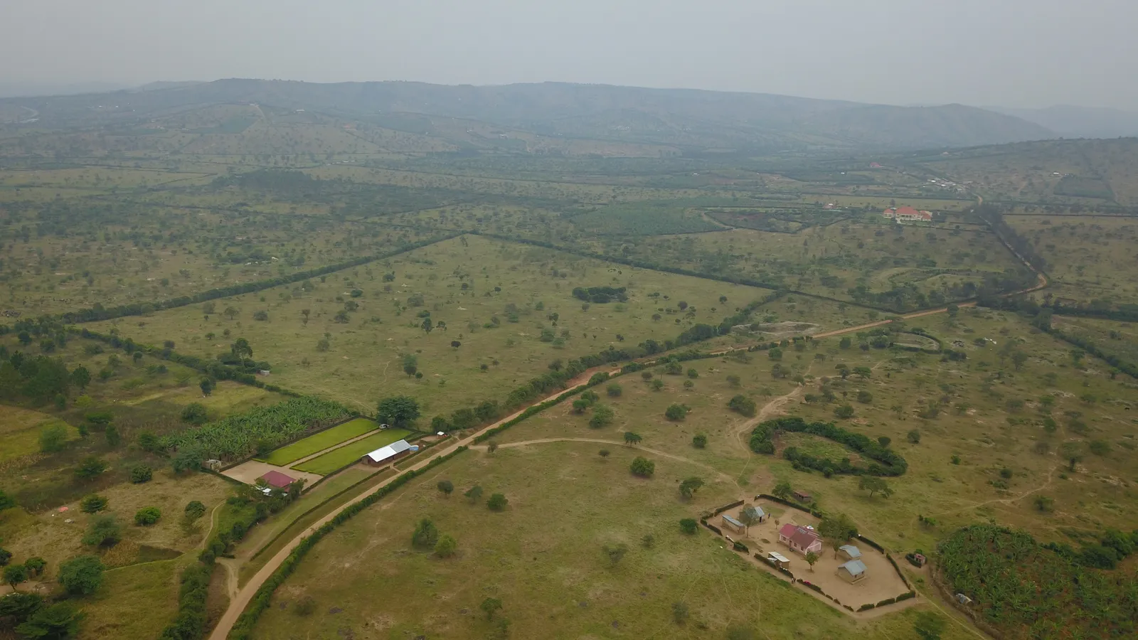 Katebe Estate — Mbarara