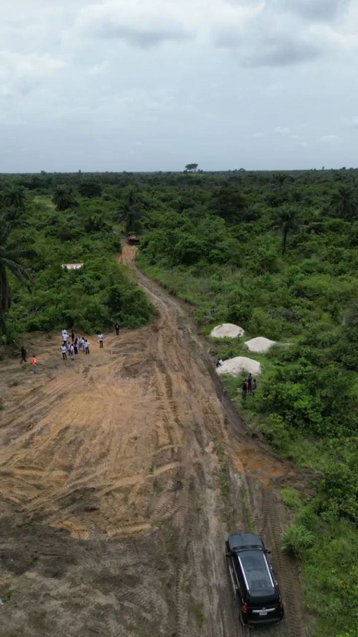 elerangbe image 4