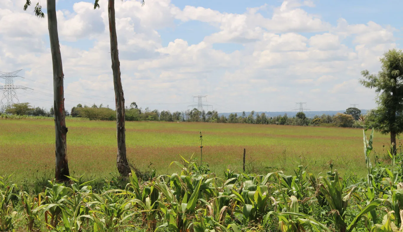 Redhill Estate Phase Three – Prime 1/8th Acre Plots in Nakuru — Nakuru