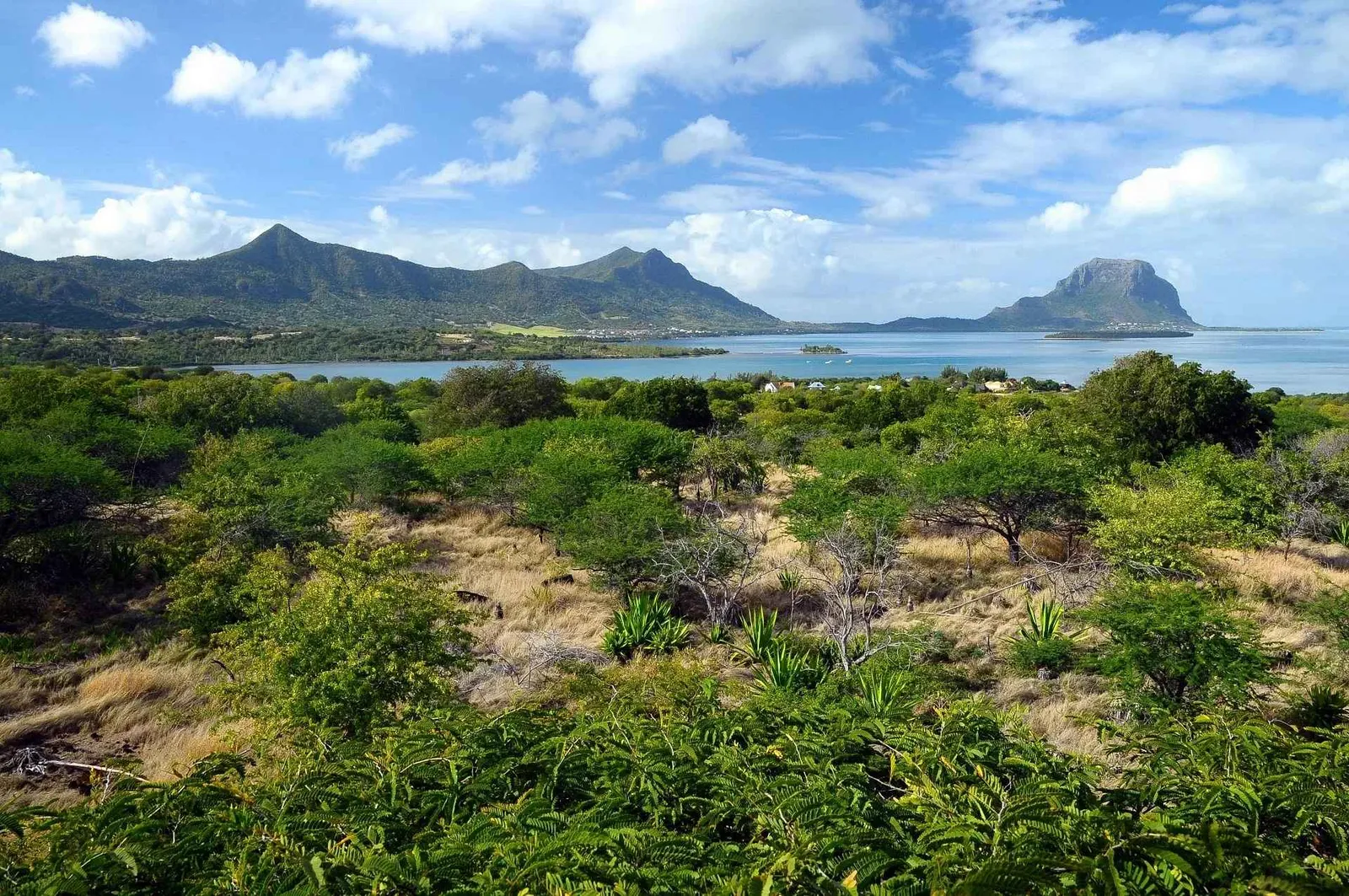 Petite Rivière Noire - VEFA - Développement résidentiel de 220 villas - vue sur mer — Petite Rivière Noire