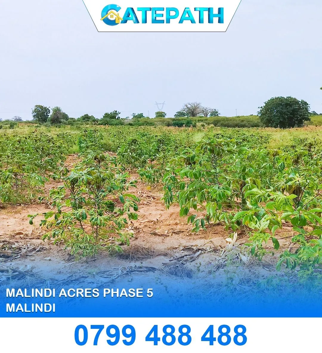 Malindi Acres Phase 5 view 3