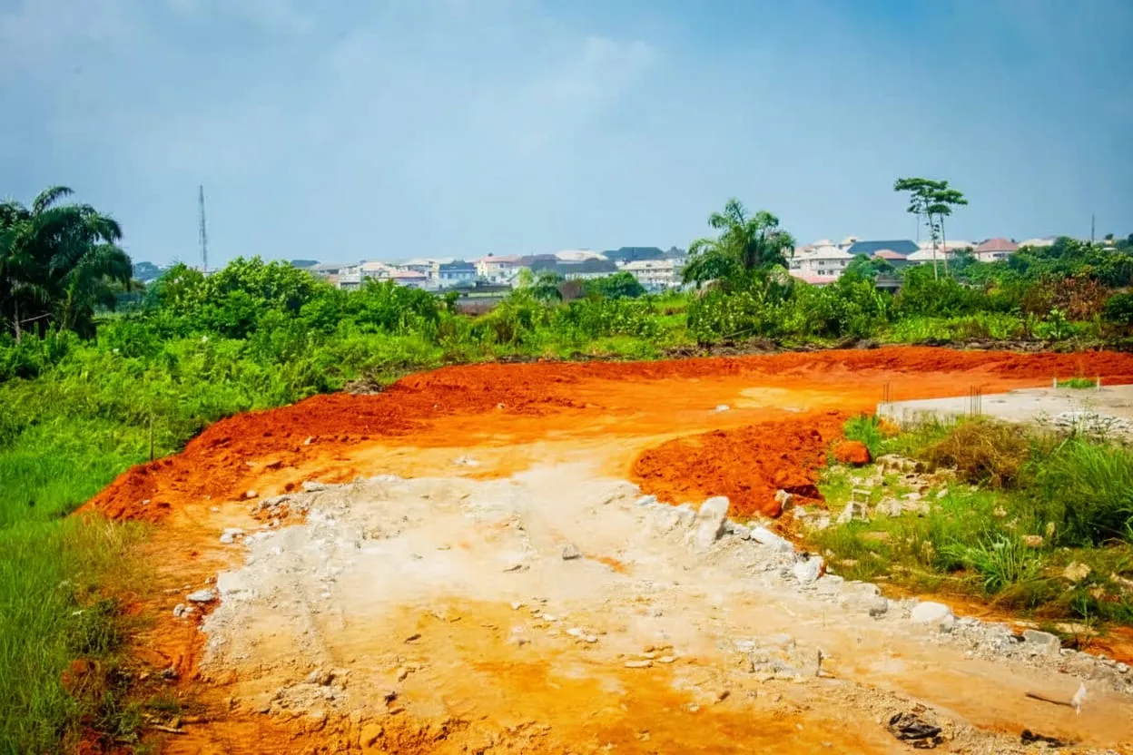 The Naples Arepo Land