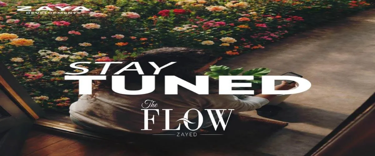 The Flow Sheikh Zayed