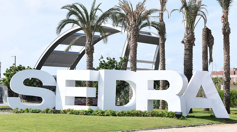 Sedra — Alexandria