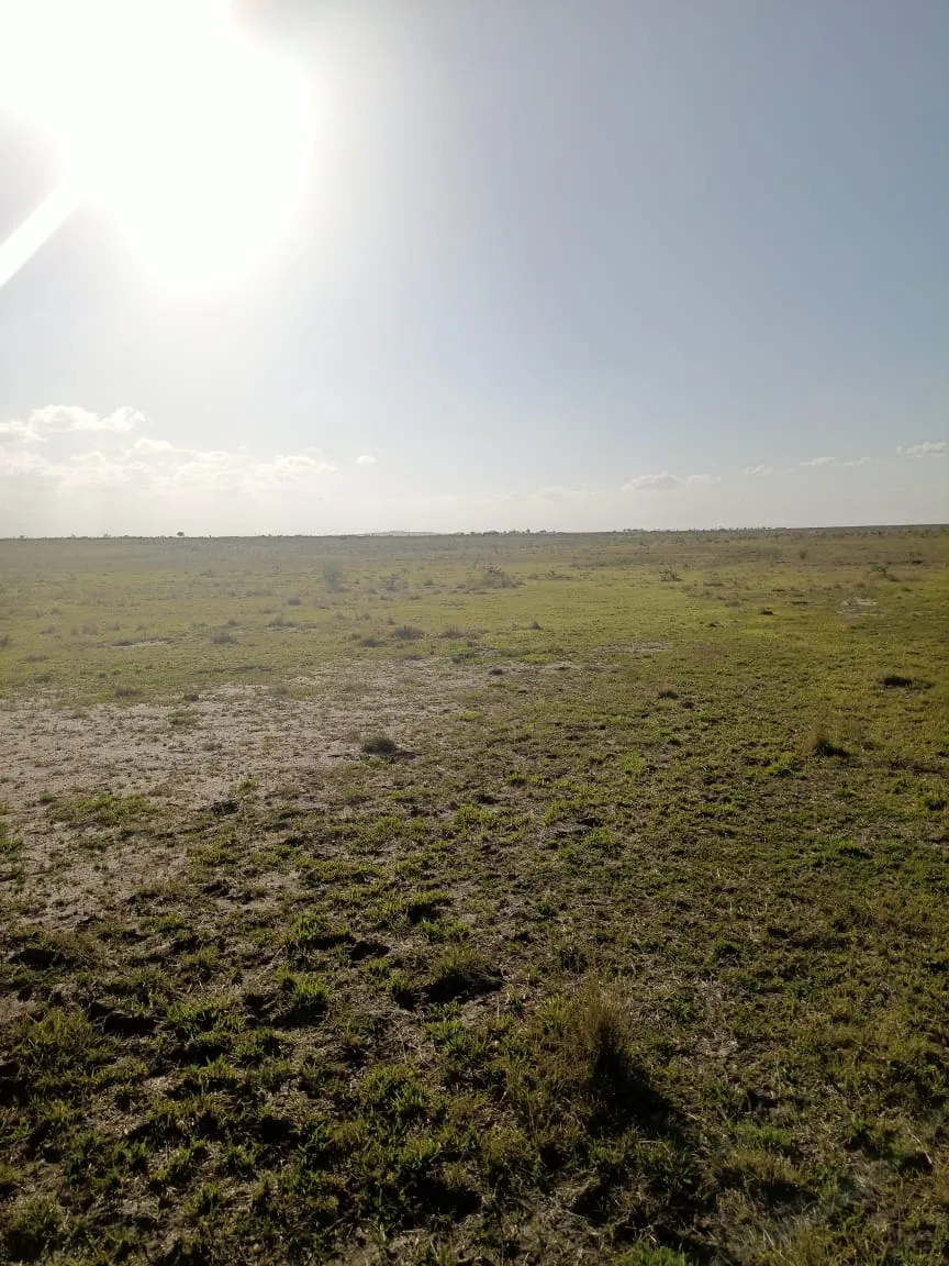 Tamu Plateau Estate — Nairobi