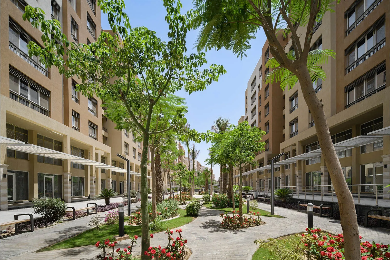 Mamsha Vista — New Capital City
