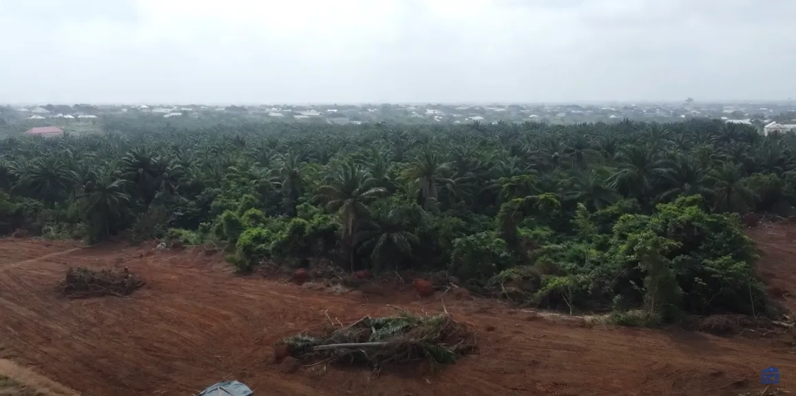 Plots of Land at Palm Hills LUXURY ESTATE