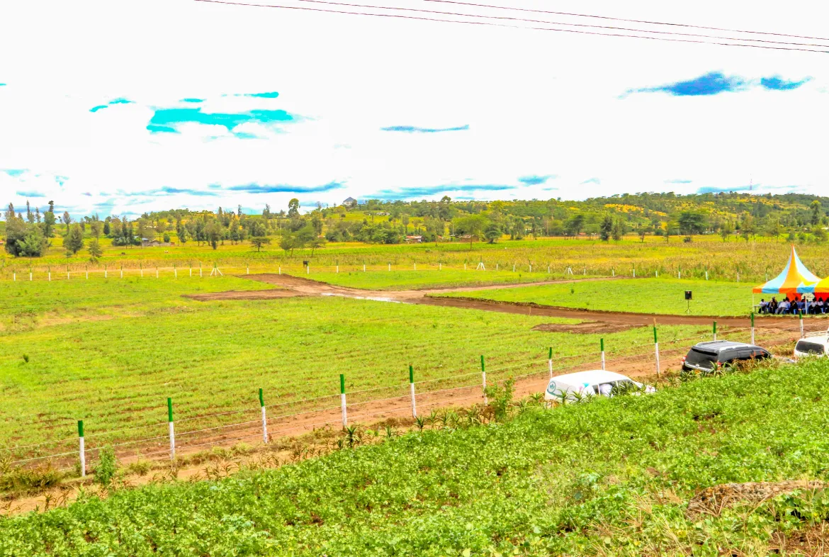 Citrus Grove Estate – Secure 1/8th Acre Plots Near Lake Nakuru — NAKURU