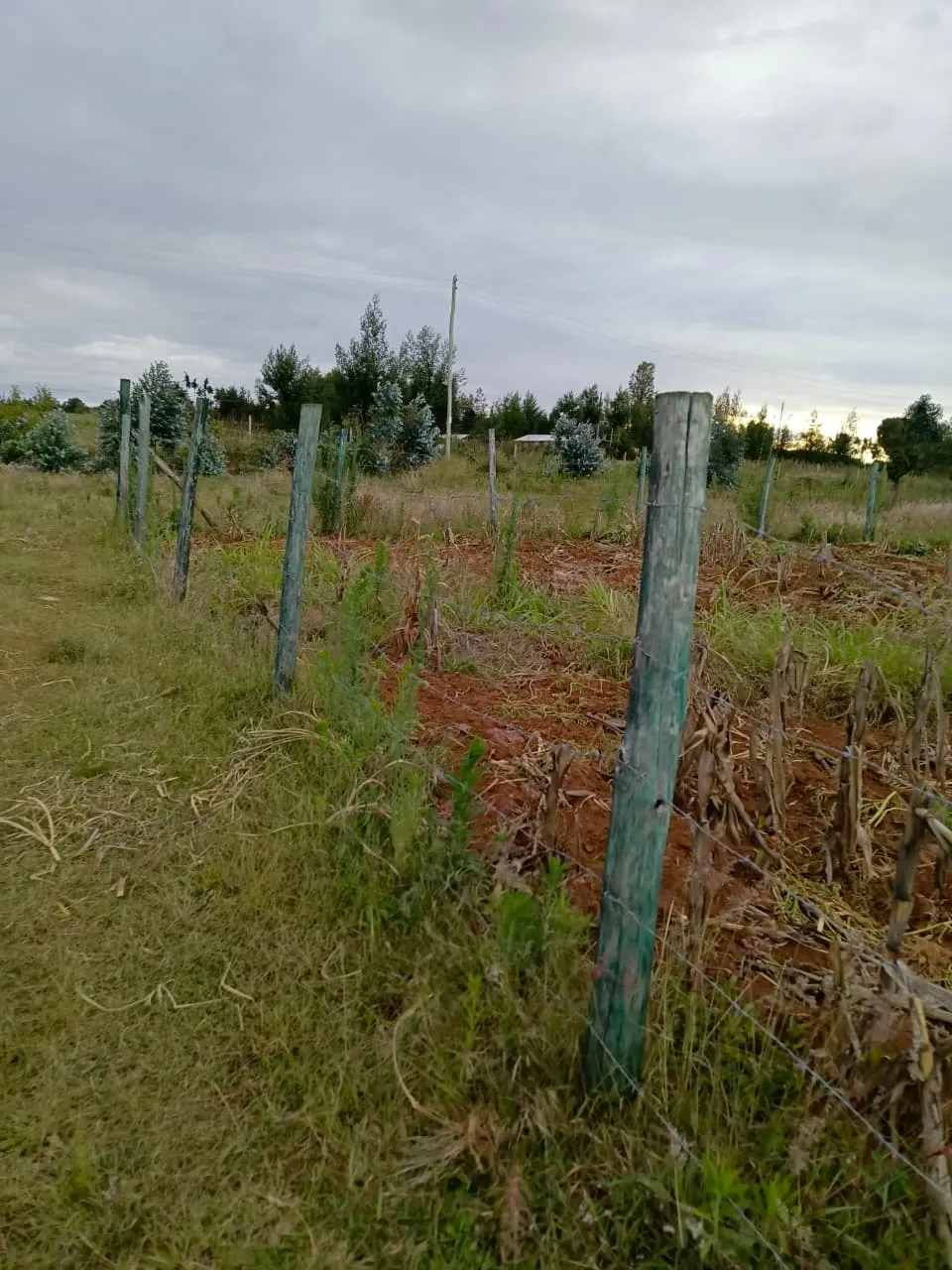 Nyahururu – Gwakungu