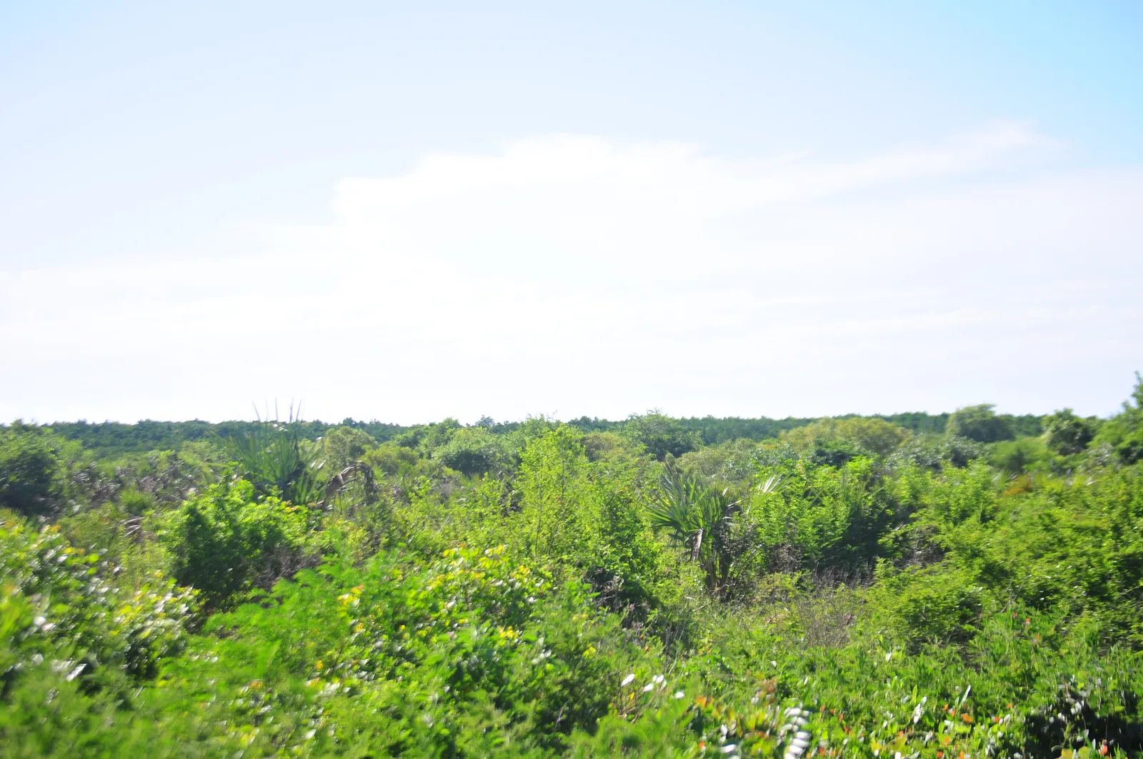 Beach Plot for Sale at Mwambani Tanga