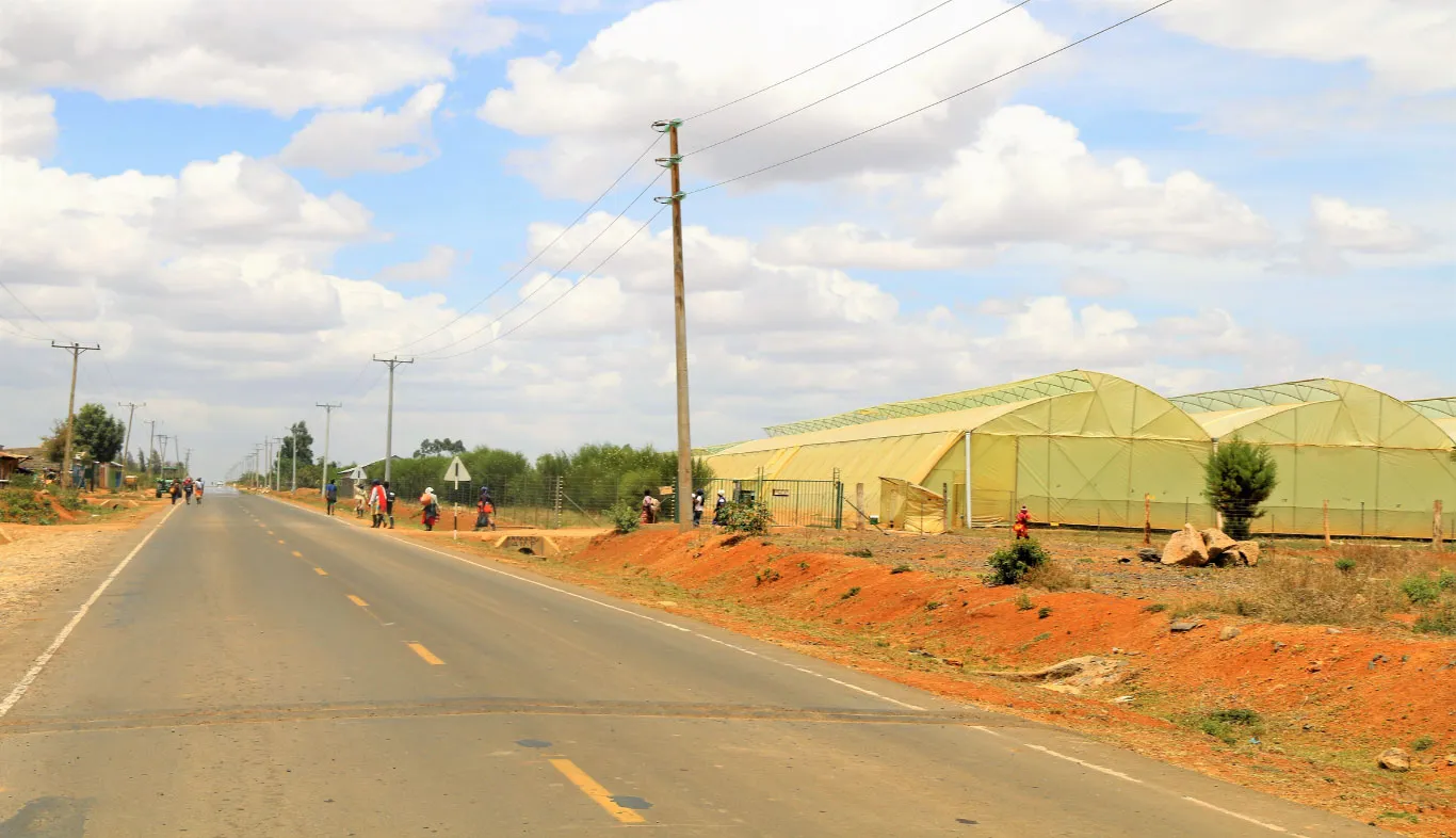 Orchard Estate – Prime Residential Plots