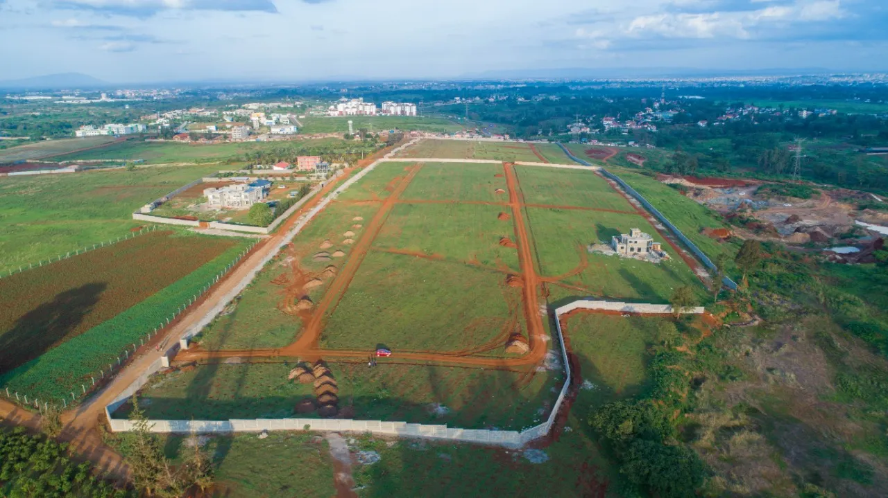 Legacy ridges-plots for sale (2)
