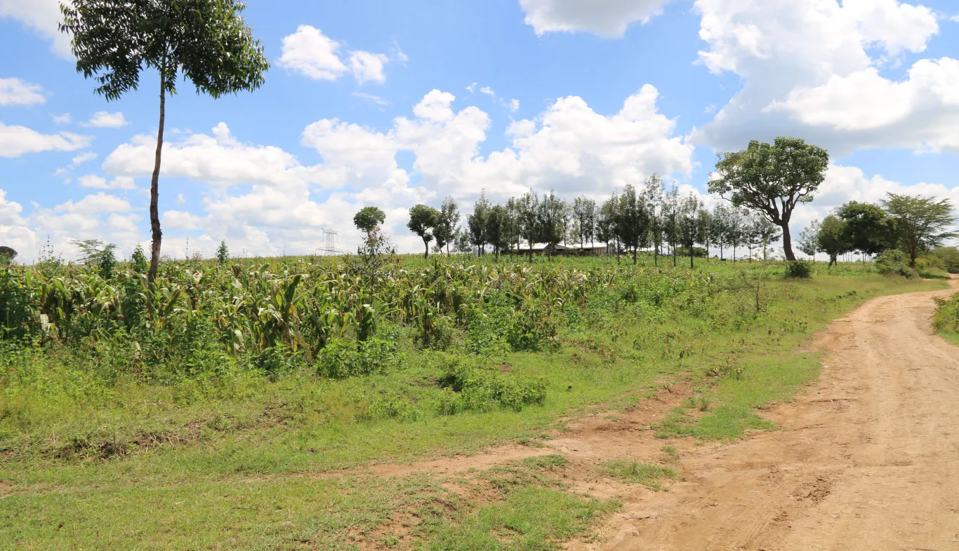Redhill Estate Phase Three – Prime 1/8th Acre Plots in Nakuru