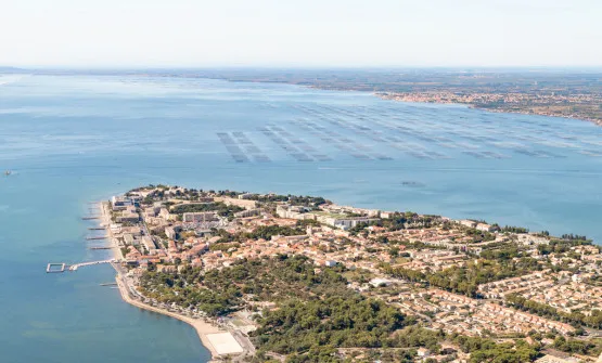 Les Jardins de Marius