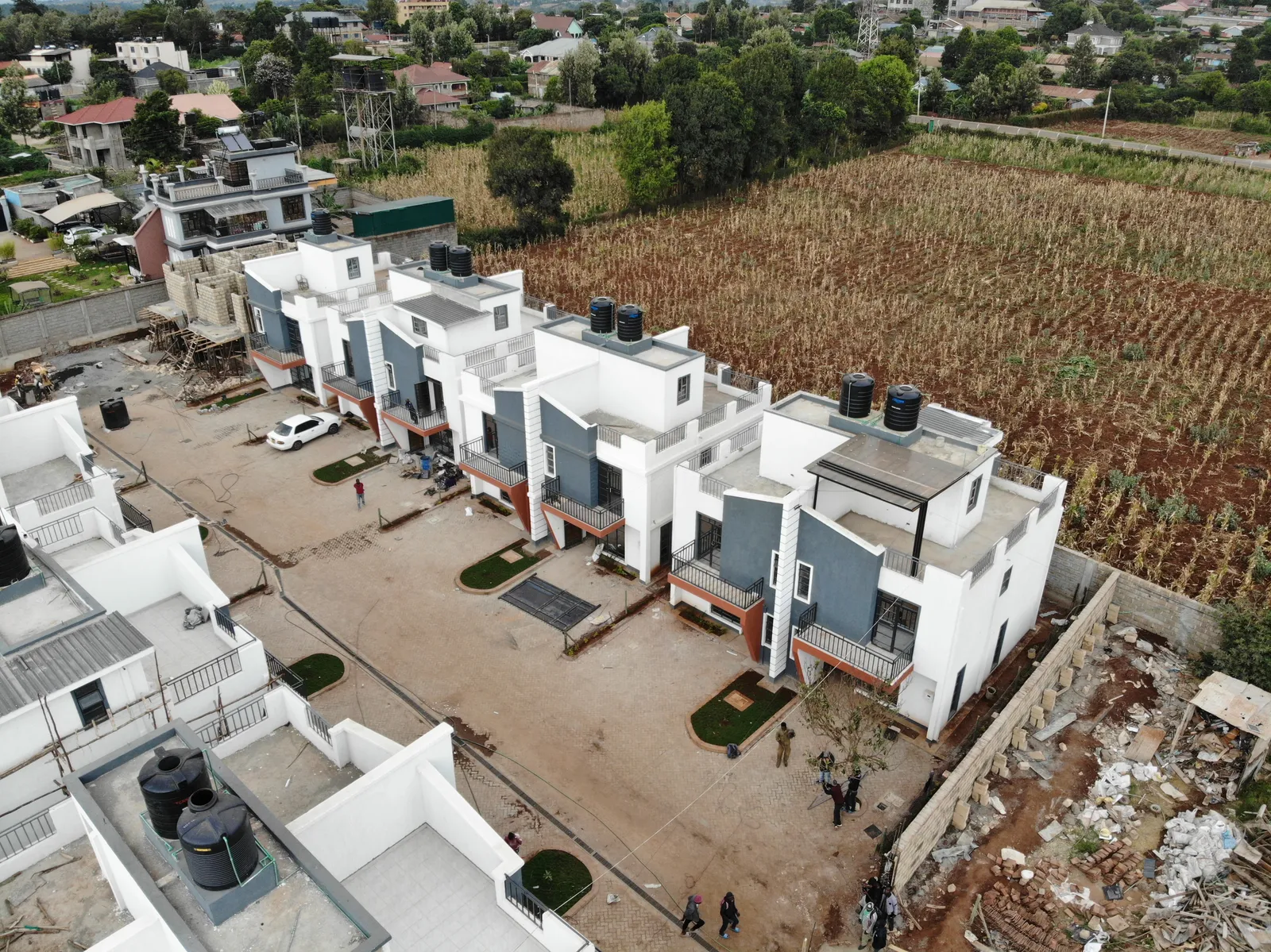 Ananda Estate Kikuyu — Kikuyu