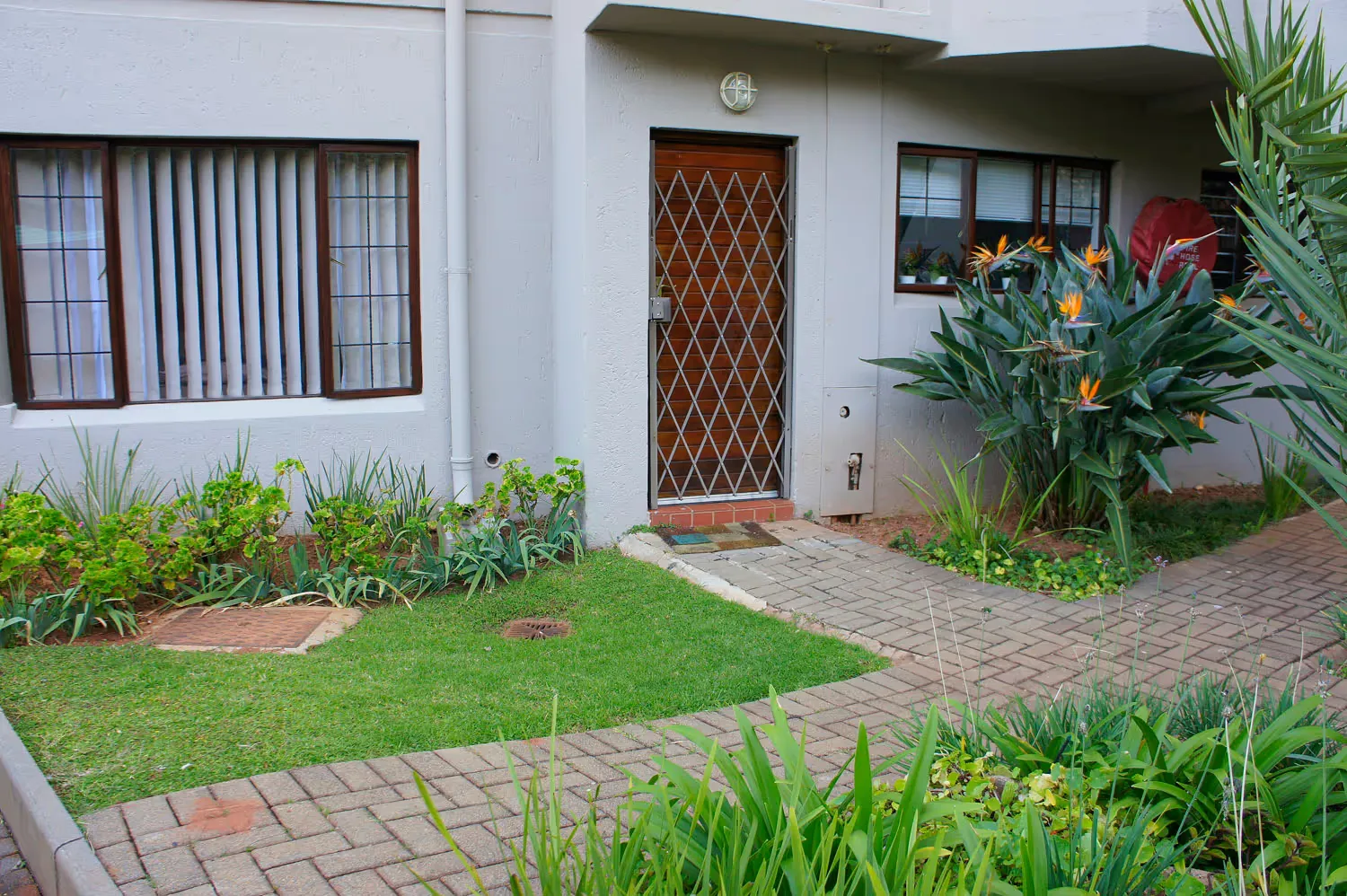 Falcons — Pretoria