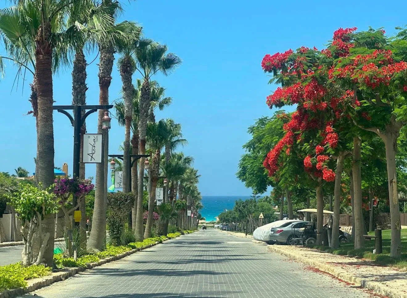 Hacienda Red - Palm-Lined Boulevard to Beach