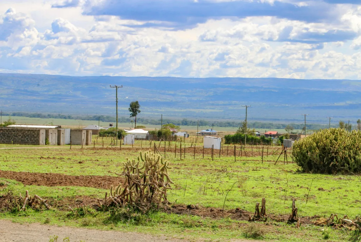 Springfield Estate Nakuru – Scenic 50 by 100 Plots with Stunning Views — Nakuru