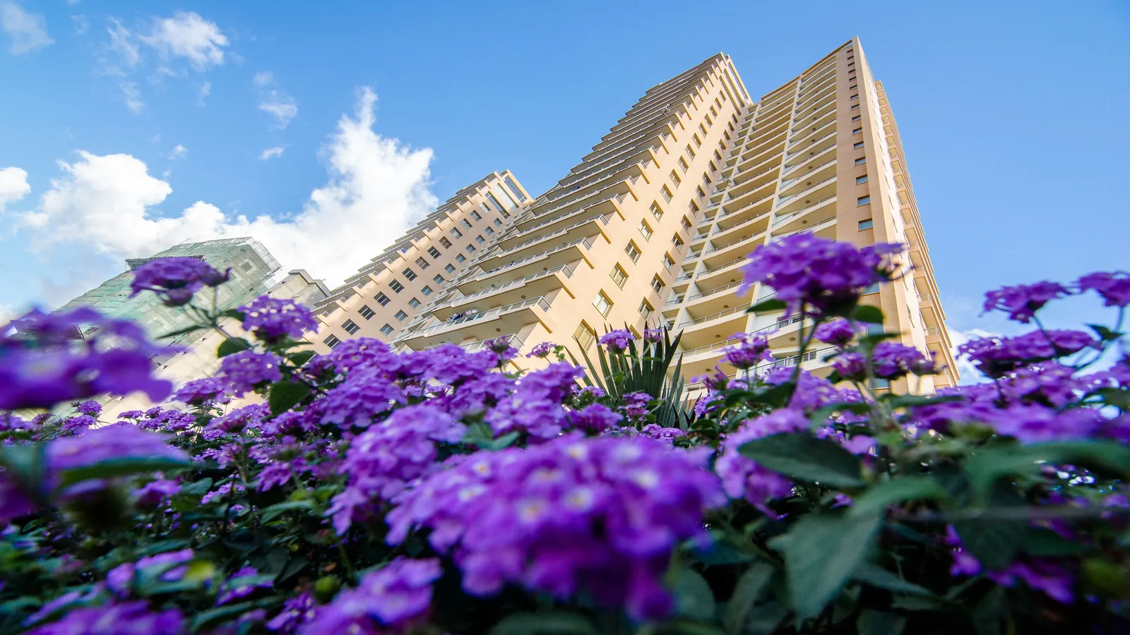 Vijana Towers Dar es Salaam — Dar es Salaam