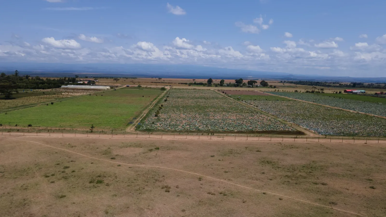 Greenvale Estate – Naromoru — Naro Moru