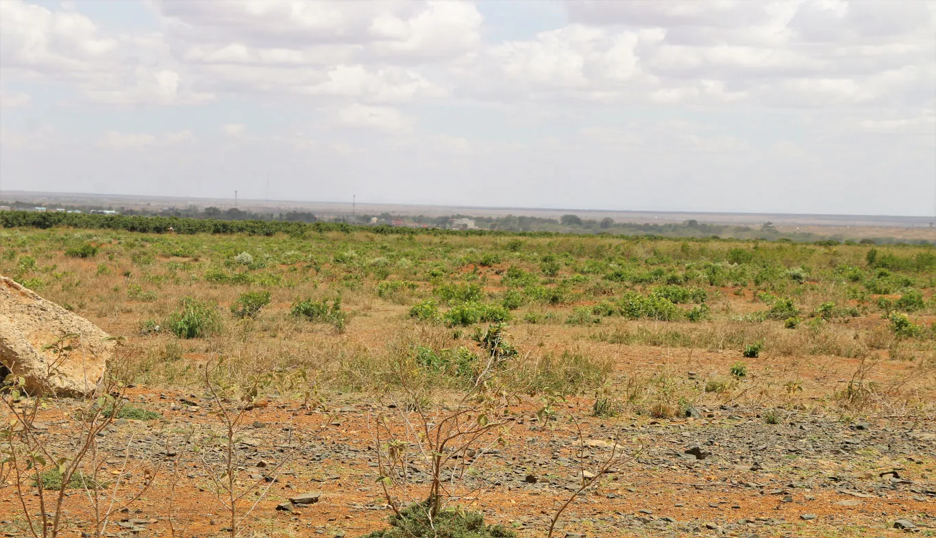 Neema Estate – Strategic Plots in Rumuruti — Rumuruti