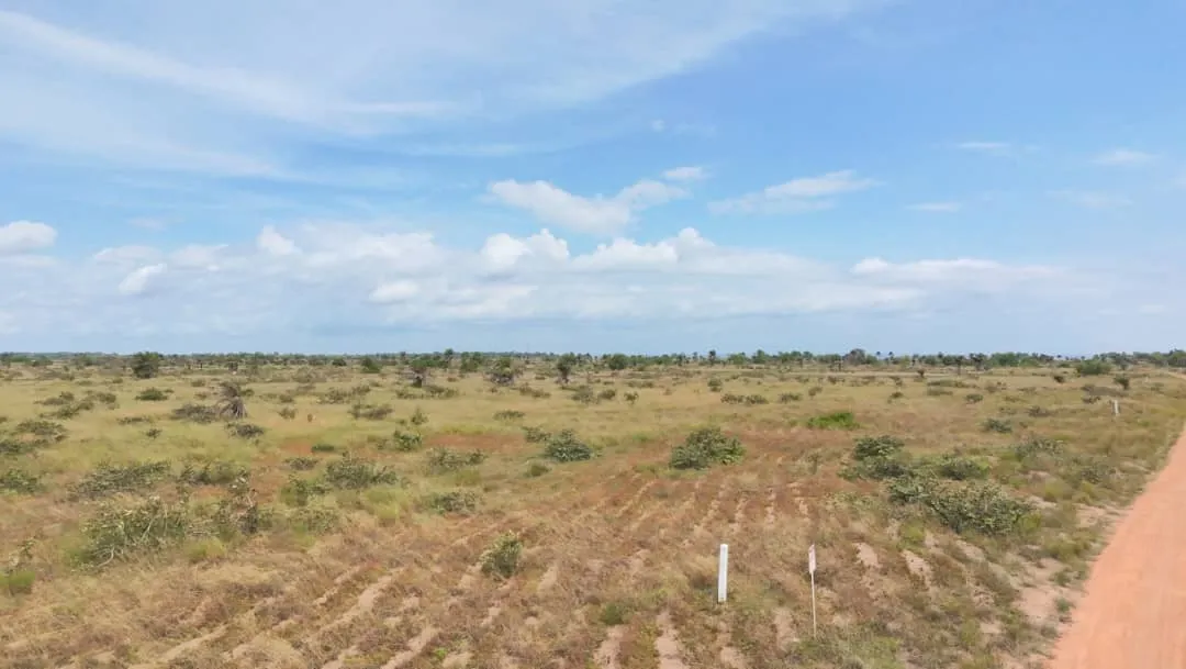 25 Parcelles à Vendre Muanda - vue 4