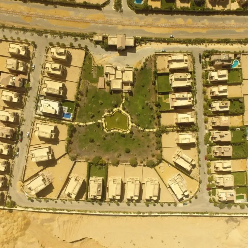 ZIZINIA ROSE — Cairo