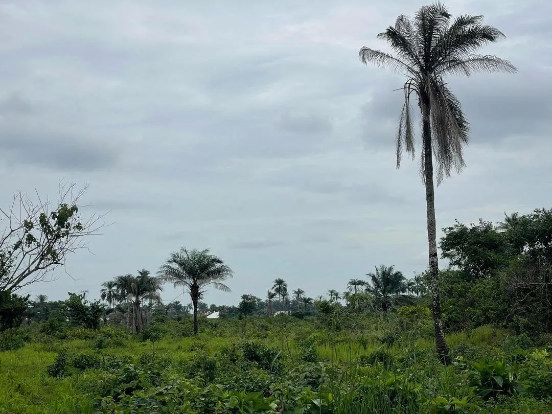 50 Plots of Land For Sale at Ogbaku
