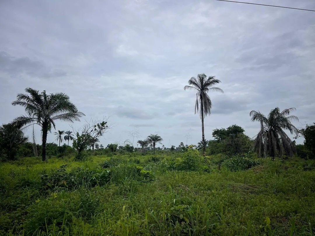 Plots of Land For Sale at Ogbaku Ejemekuru by MC CAPITAL Properties Limited