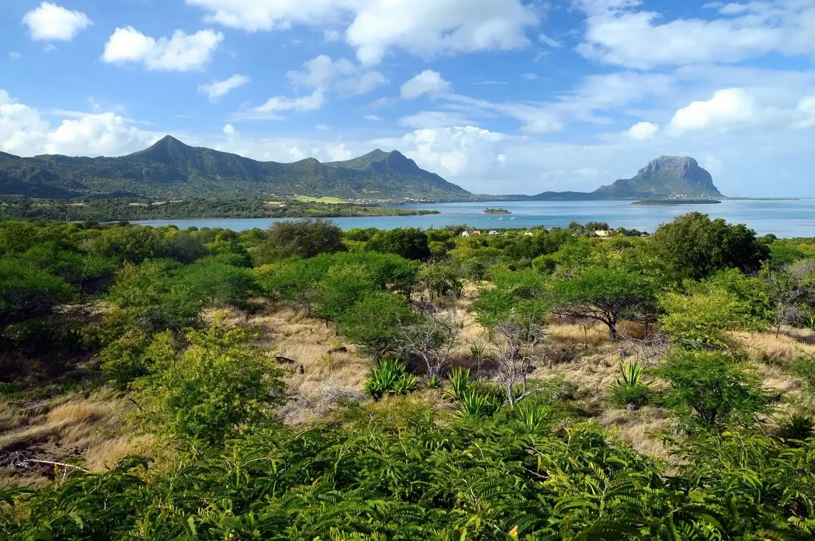 Petite Rivière Noire - VEFA - Développement résidentiel de 220 villas - vue sur mer — Petite Rivière Noire