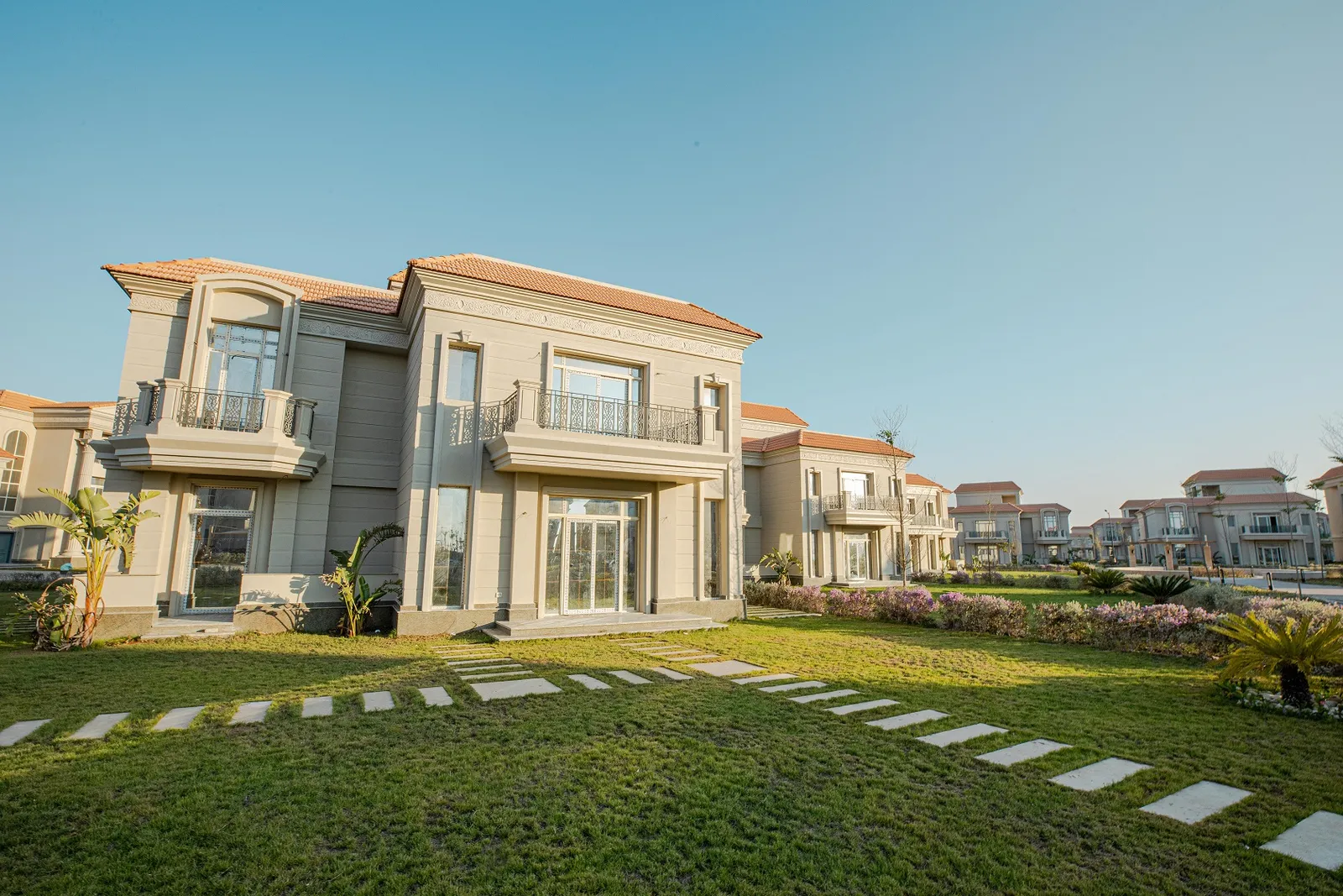 Zahya — New Mansoura City