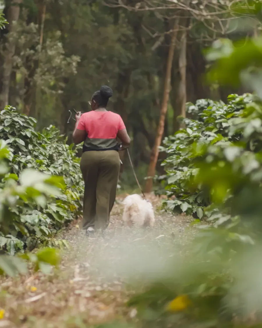 Zena Park — Nairobi