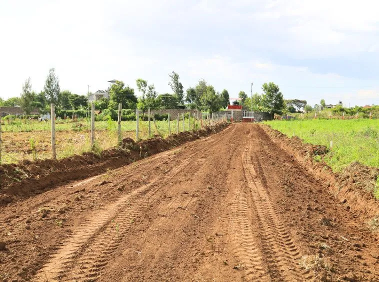 Royal Palm Residence Nakuru – Exclusive 1/8th Acre Plots — Nakuru