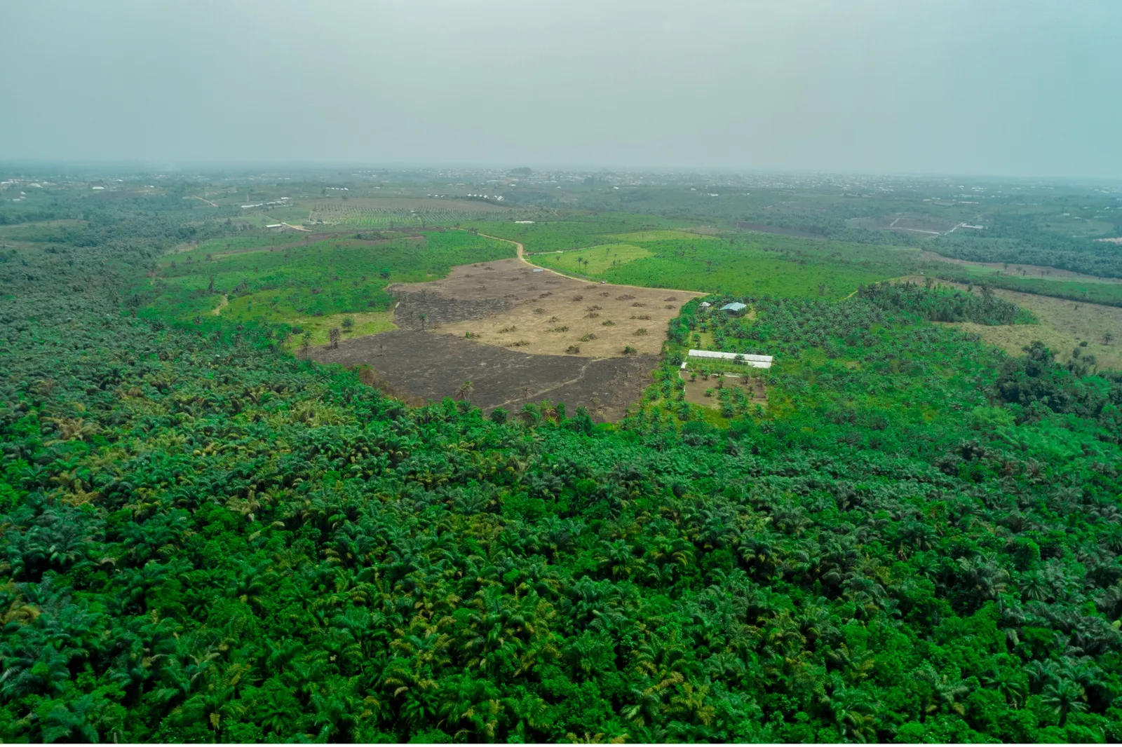 The Monarch's Court Epe — Lagos