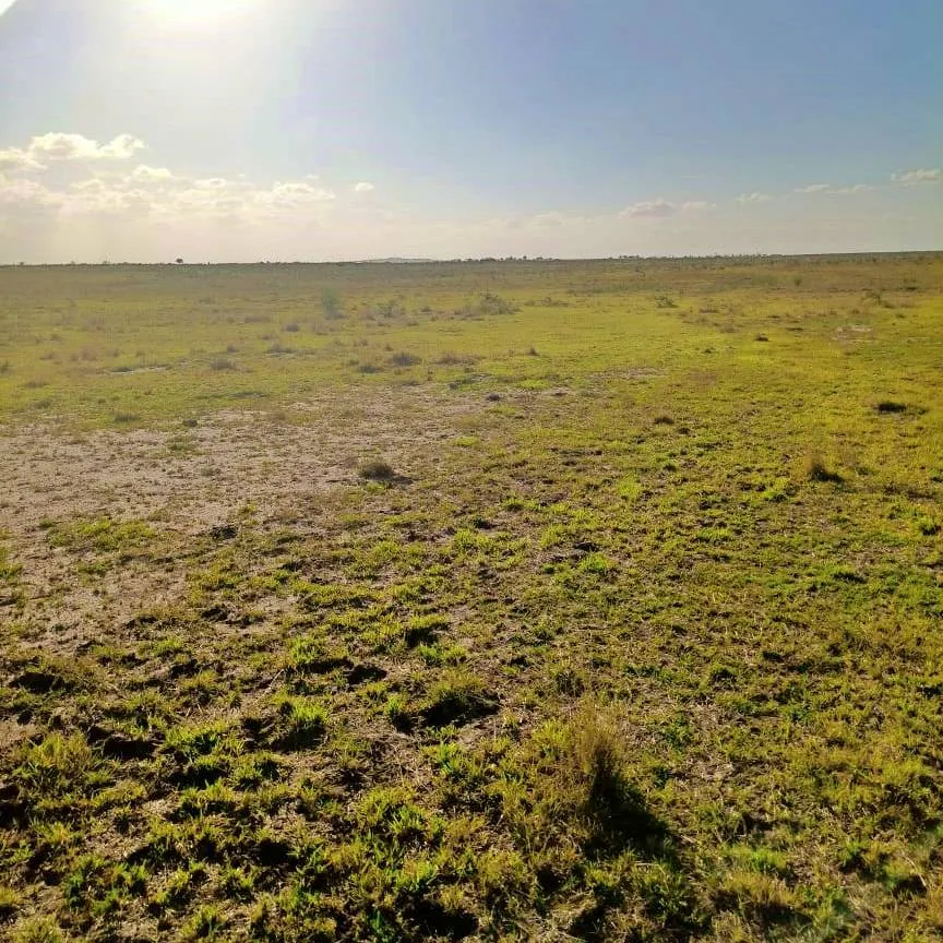 Tamu Plateau Estate — Nairobi