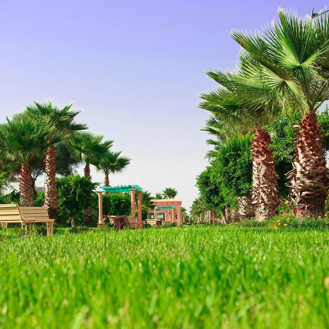Les Jardins Riyad toulal - espace vert -