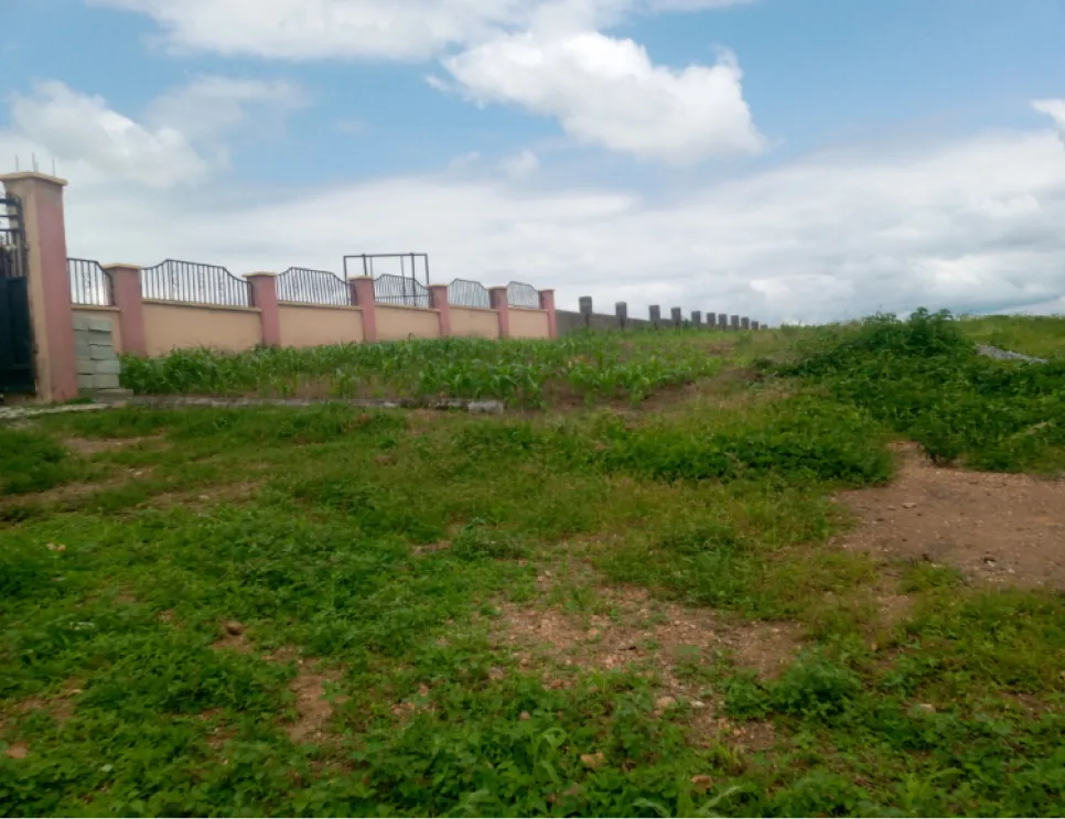 Queens Park Estate Karshi