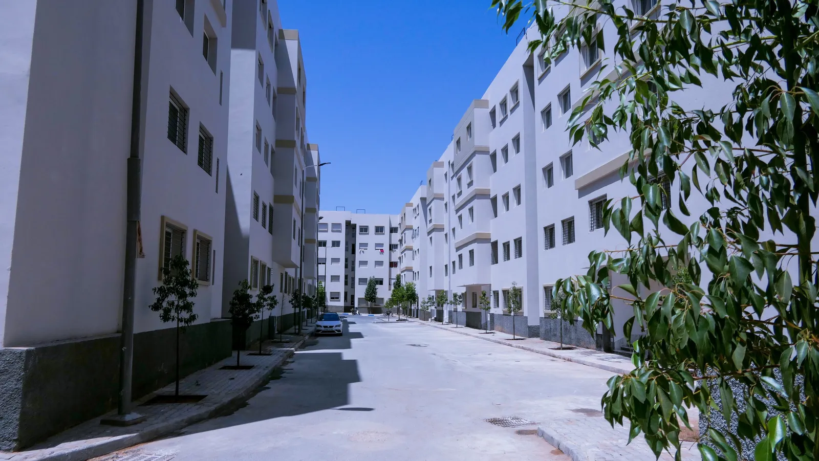 Dyar Al Morjane — Safi